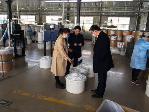 人大代表助力企業疫路小跑，板湖鎮技術交流促發展